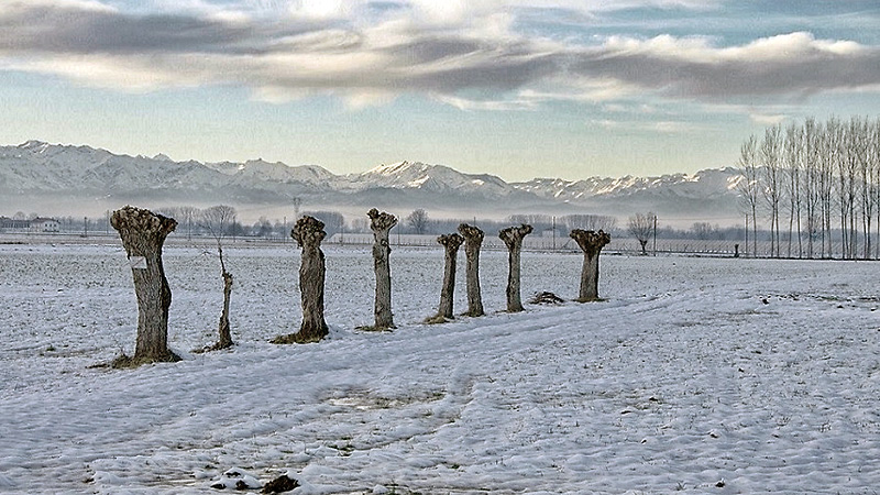 Senza-titolo-1.jpg