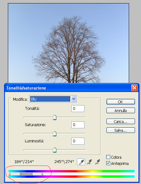 Senza-titolo-2.jpg