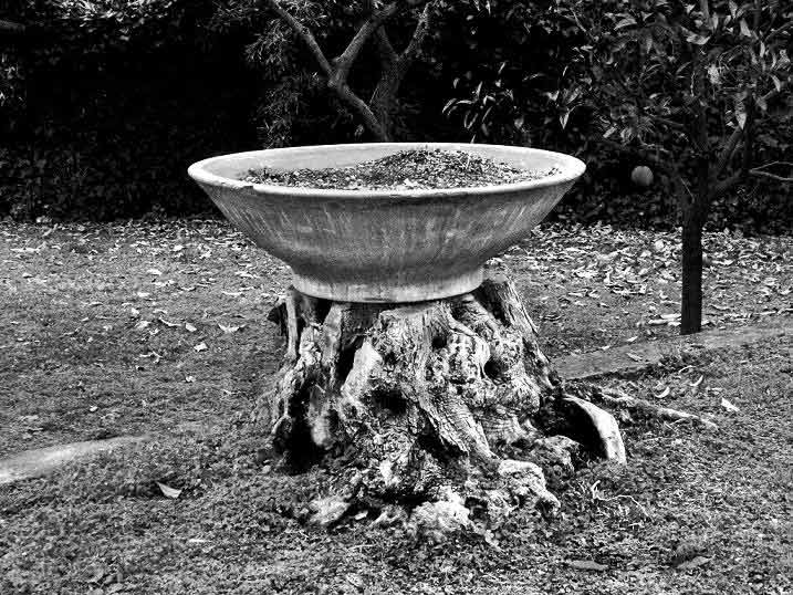 Senza-titolo-3.jpg