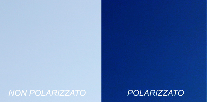 Senza-titolo-3.jpg