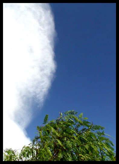 Senza-titolo-4.jpg