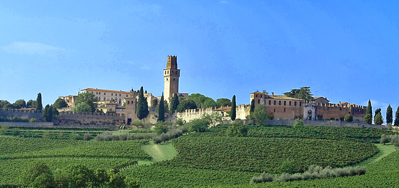 Senza-titolo-5.jpg