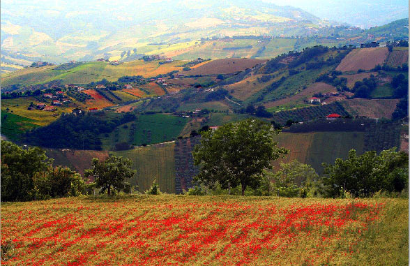 Senza-titolo-6.jpg