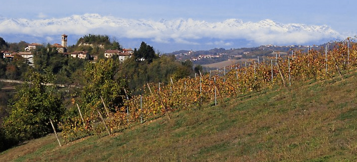 Senza titolo-1.jpg