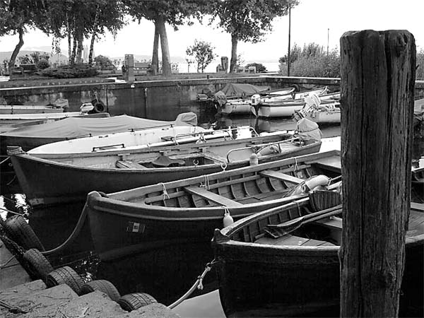 Senza titolo-1 copia.jpg