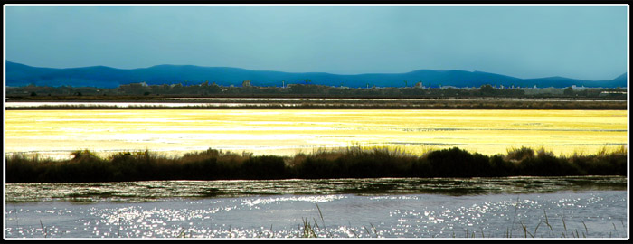 Senza titolo-1 copia.jpg