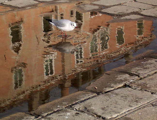 Senza titolo-3.psd.jpg