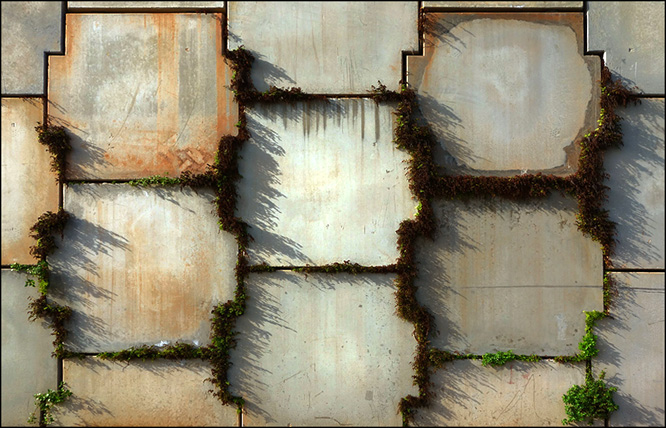 Senza titolo-3.jpg
