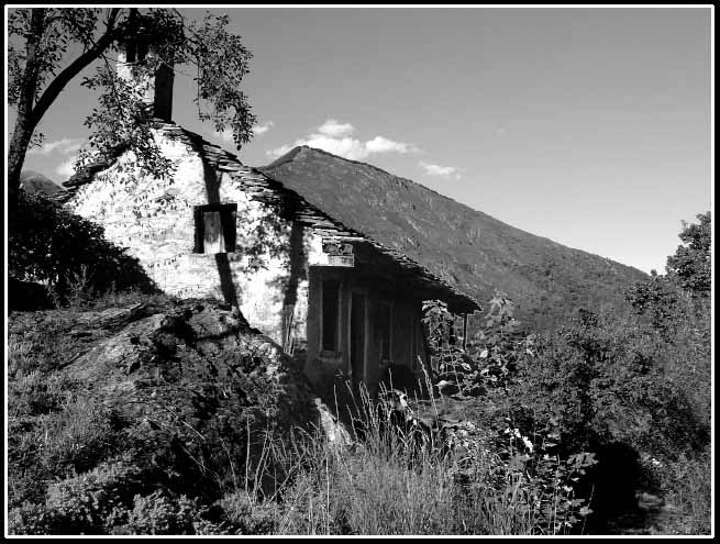 Senza titolo-3 copia.jpg