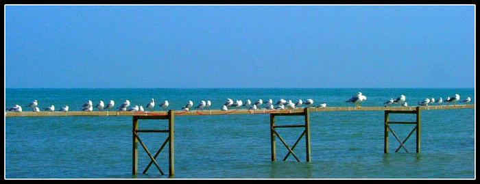 Senza titolo-3 copia.jpg