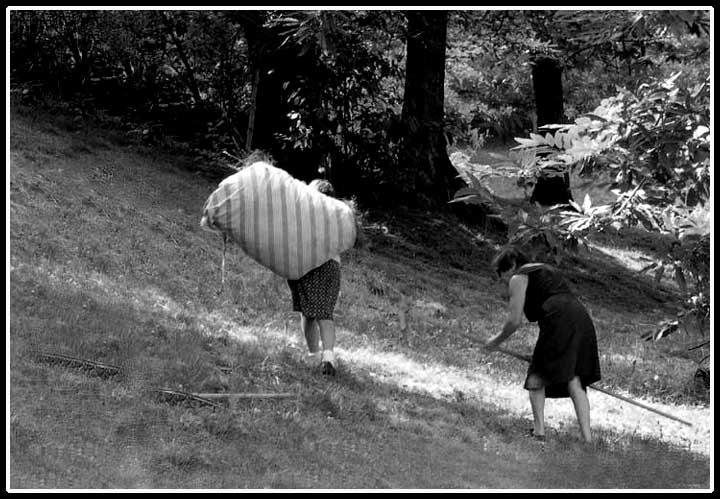 Senza titolo-3 copia.jpg