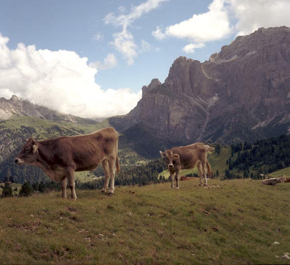 Senza titolo-5.jpg