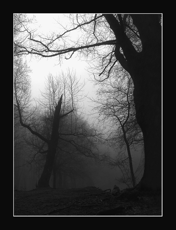 Senza titolo-5.jpg