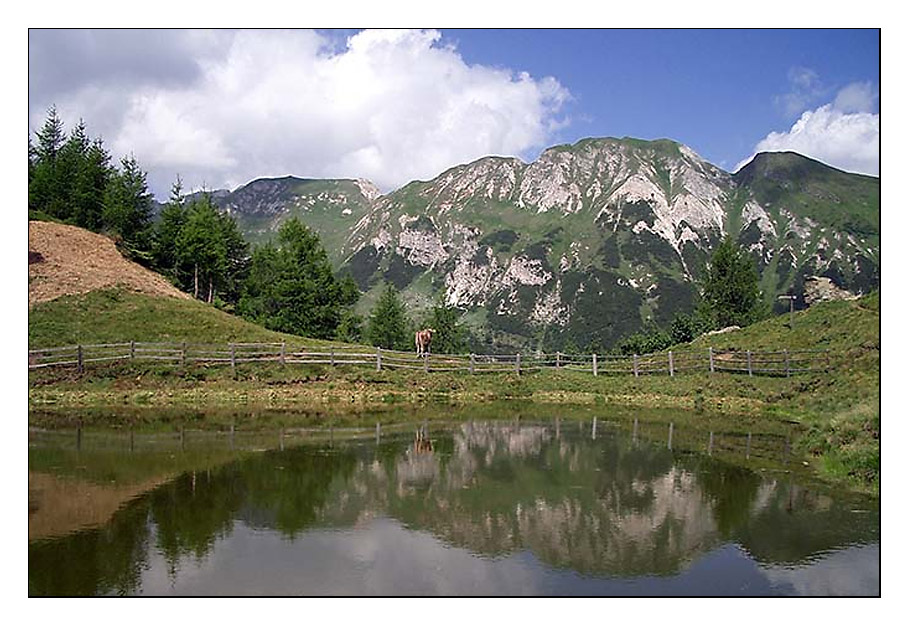 Senza titolo-6.jpg