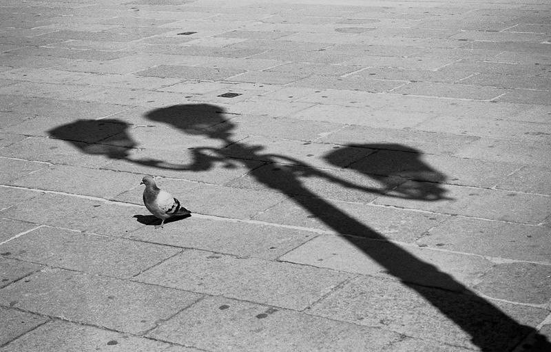 Senza titolo-8_ridimensionare.jpg
