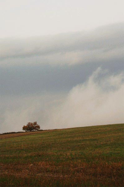 Senzaaa-titolo-1.jpg
