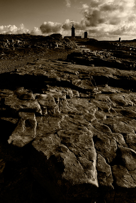 sepia.jpg