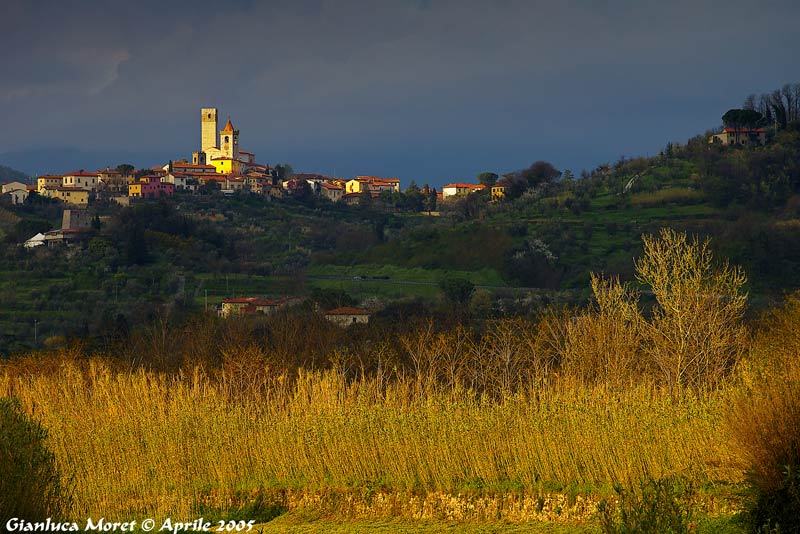 Serravalle-Taglio-Luce.jpg