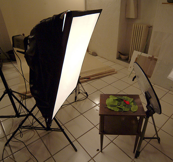 setup.jpg