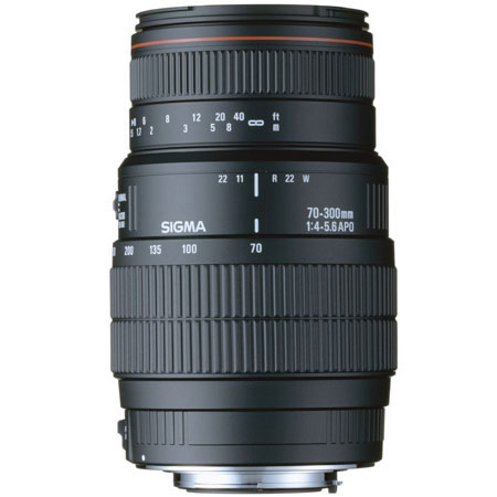 SG70300DANKA.JPG.jpg