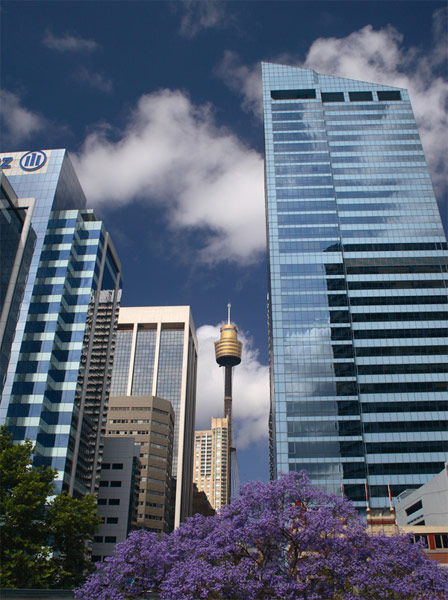 sidney.jpg