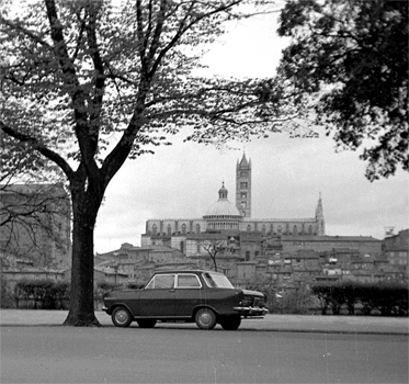 Siena.jpg