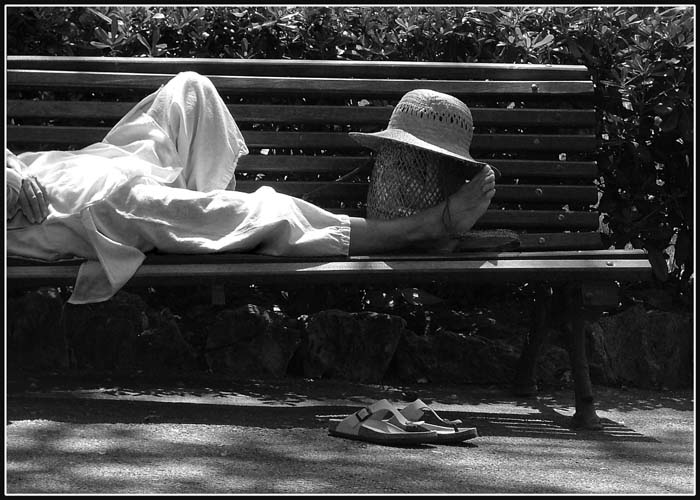 Siesta3.jpg
