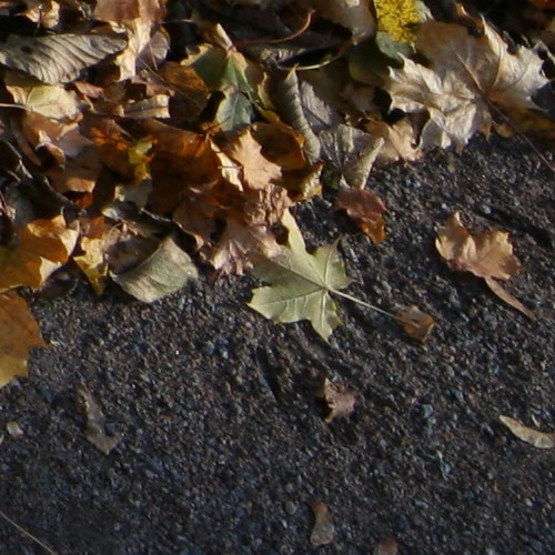 sigma12-24at12f7dx.jpg