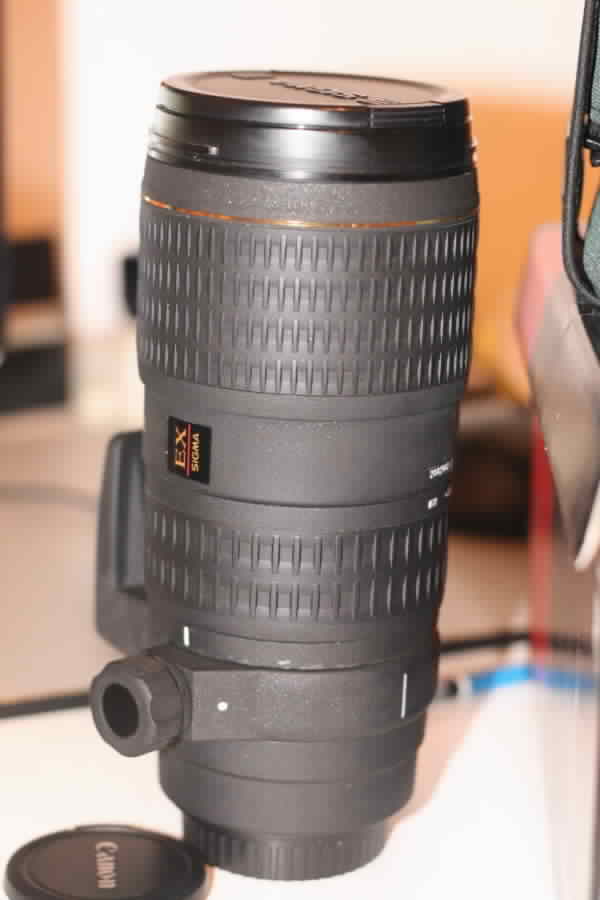 sigma2.jpg