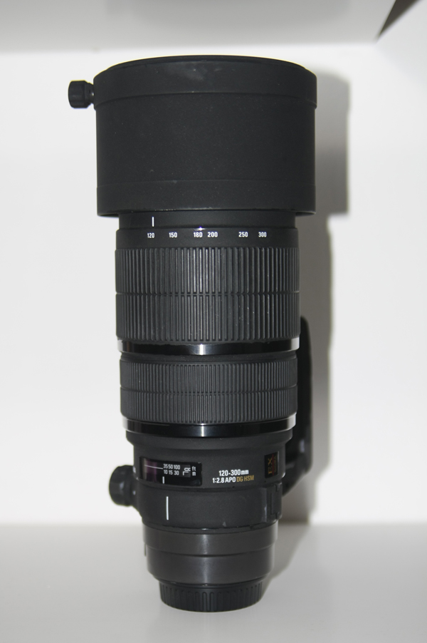 sigma6.jpg
