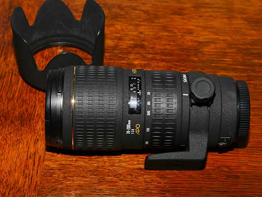 sigma7-21.jpg