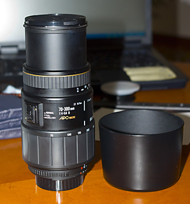 sigma70_300_344.jpg