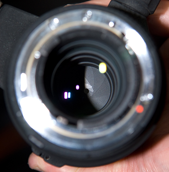 sigma 100 300 f4 .jpg