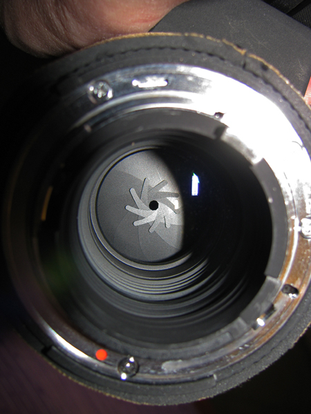 sigma 120 300 f2.8 (4).jpg