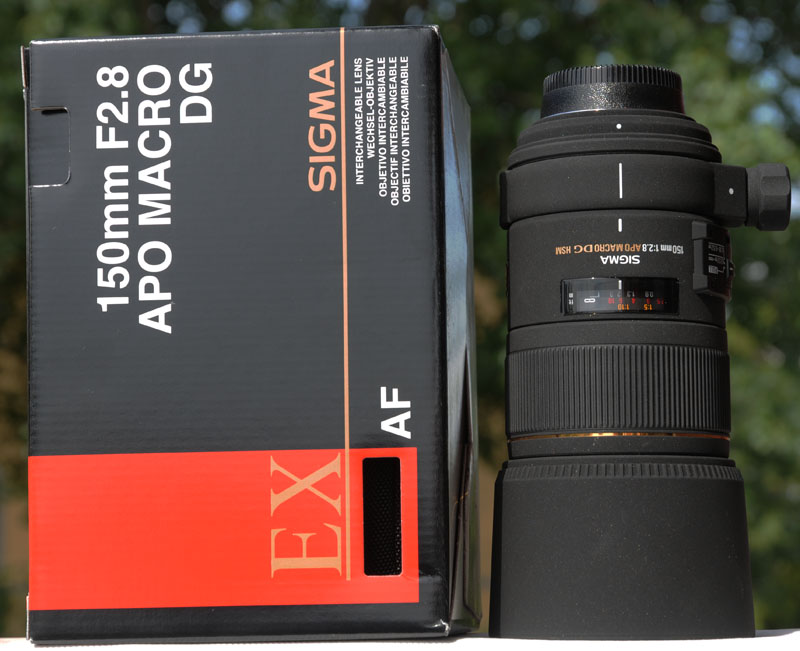 sigma 150 macro.jpg