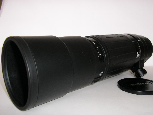 Sigma 400 mm f5.6 (4).JPG