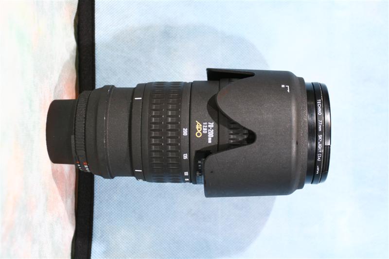 Sigma EX HSM 70-200 f1-2.8D APO (Medium).JPG