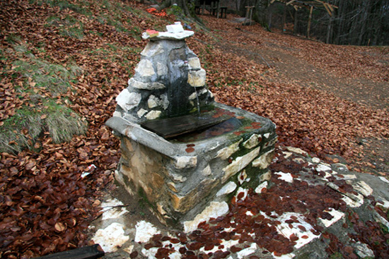 SilaFontanella - 11 -.jpg