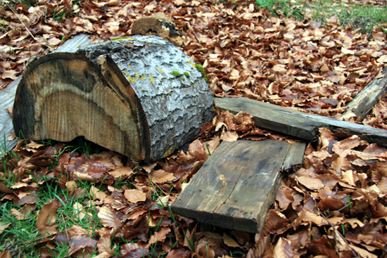 SilaIlCiocco - 13 -.jpg