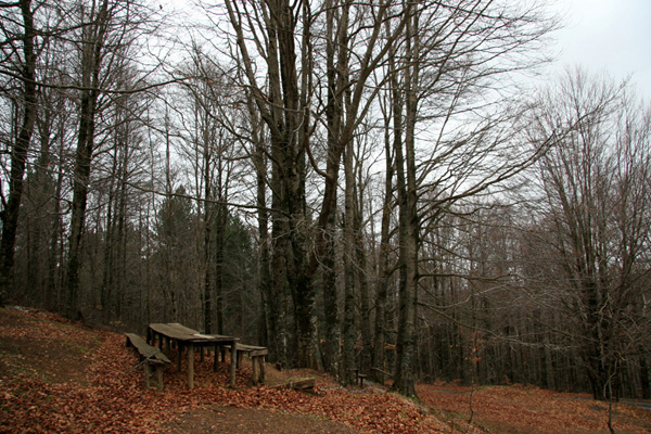 SilaLaMensa-2 - 12 --.jpg