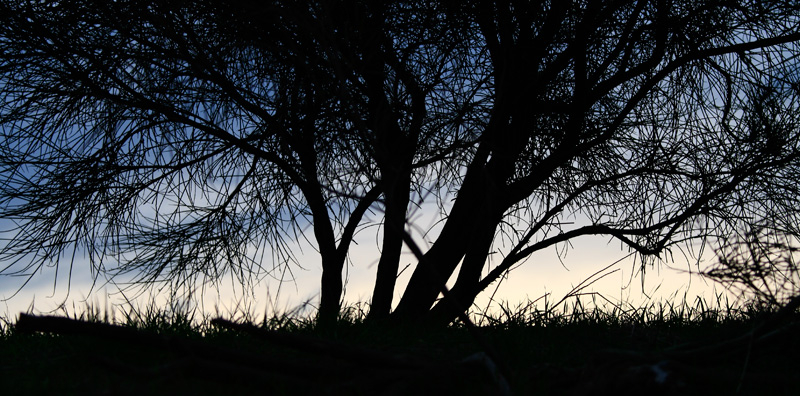 Silhouette-1.jpg