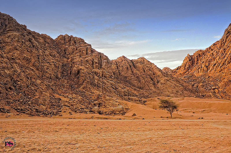 sinai_m2.jpg