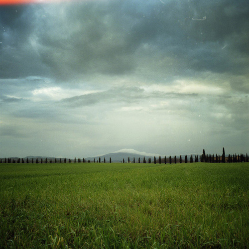 Single_087.jpg