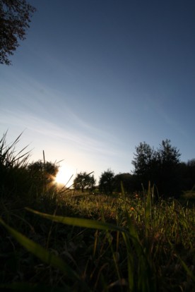 small-controluce.jpg