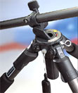 small_pic4.jpg