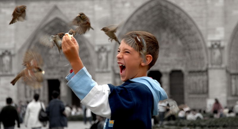 smilebird.jpg