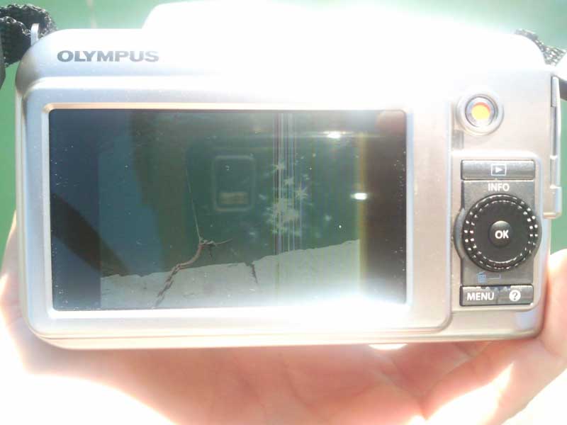 SNC001351.jpg