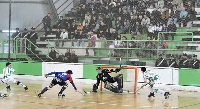 snfbari 02.jpg