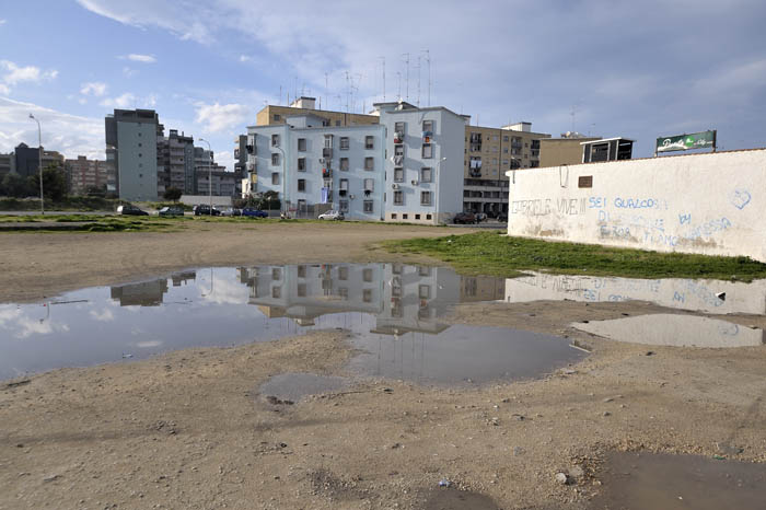 snfbari 04.jpg