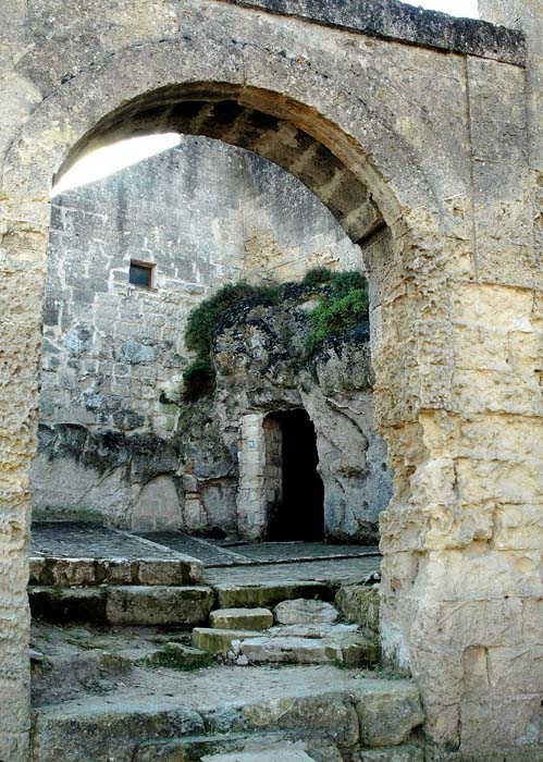 snfbari 05.jpg